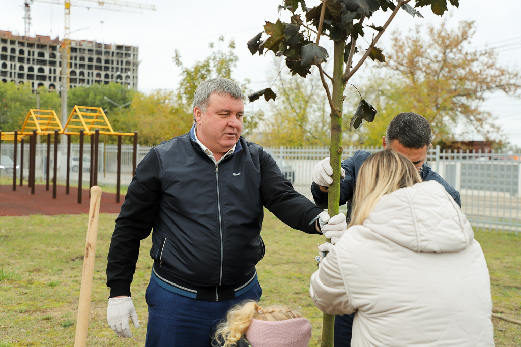 Руководители Тулы, депутаты и жители посадили клены в Советском округе .