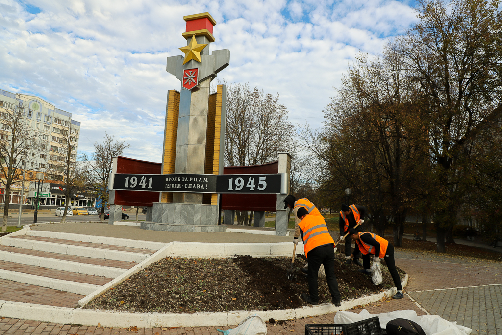 В Туле высаживают тюльпаны.