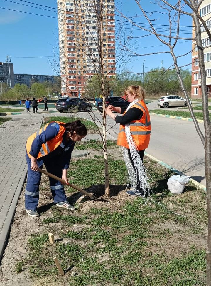 Уходные работы за зелёными насаждениями продолжаются.