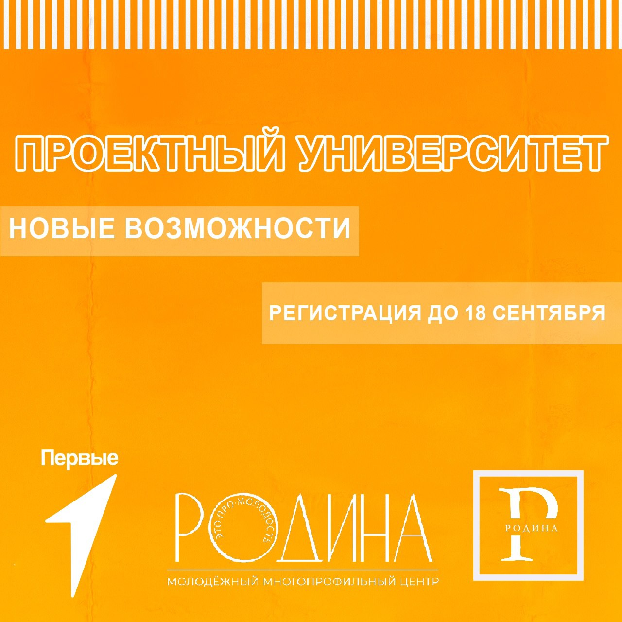 Университет управления проектами pm university