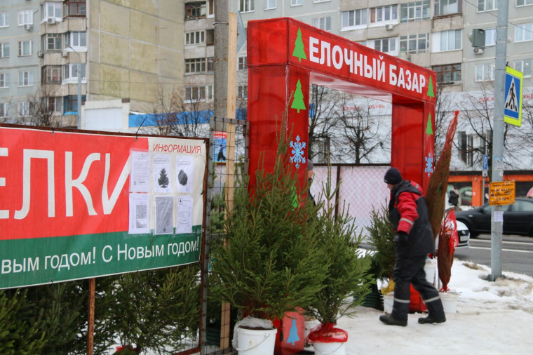 В Туле открылись елочные базары. В Туле открылись елочные базары.